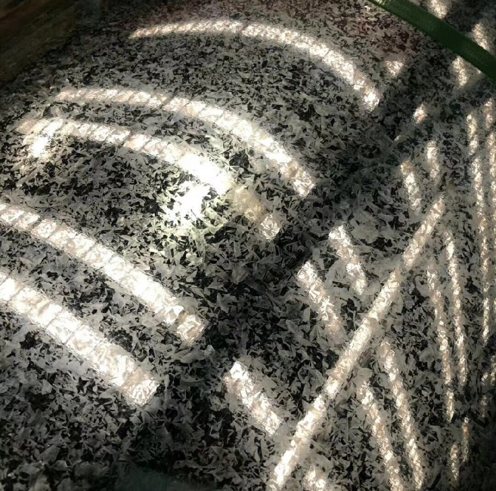 Galvanized Steel Coil
